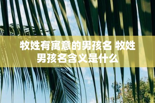 牧姓有寓意的男孩名 牧姓男孩名含义是什么