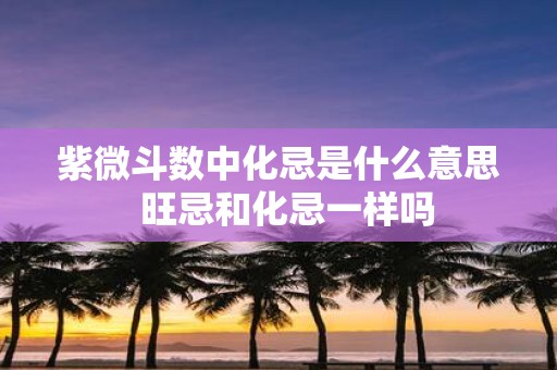 紫微斗数中化忌是什么意思 旺忌和化忌一样吗