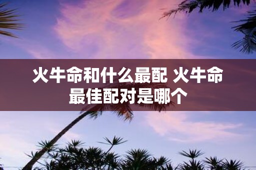 火牛命和什么最配 火牛命最佳配对是哪个