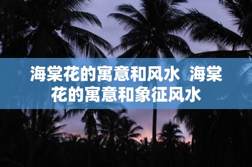 海棠花的寓意和风水 海棠花的寓意和象征风水