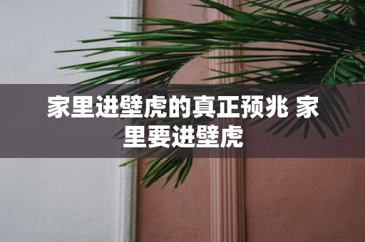 家里进壁虎的真正预兆 家里要进壁虎
