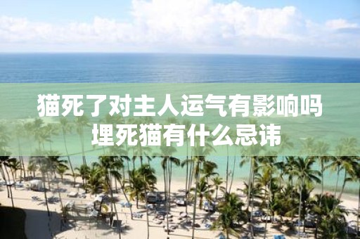 猫死了对主人运气有影响吗 埋死猫有什么忌讳