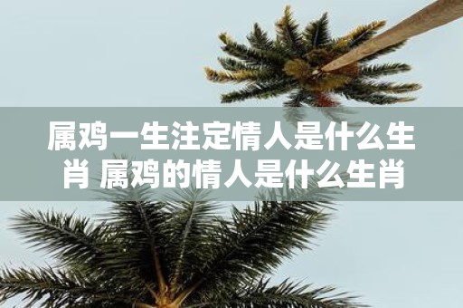 属鸡一生注定情人是什么生肖 属鸡的情人是什么生肖
