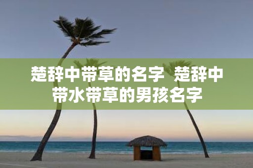 楚辞中带草的名字 楚辞中带水带草的男孩名字