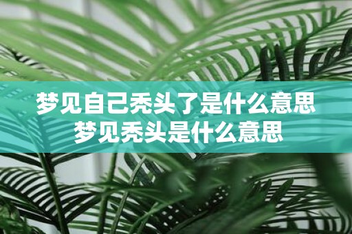 梦见自己秃头了是什么意思 梦见秃头是什么意思