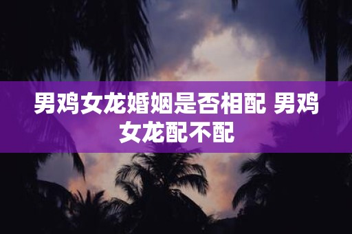 男鸡女龙婚姻是否相配 男鸡女龙配不配