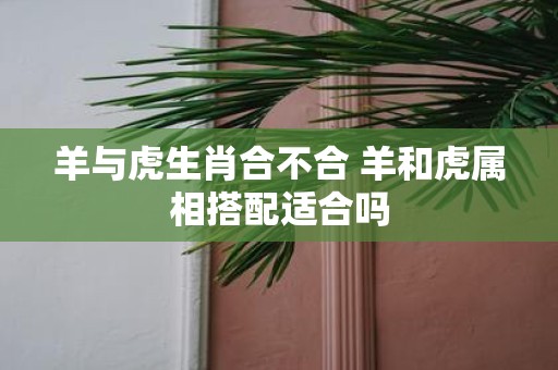 羊与虎生肖合不合 羊和虎属相搭配适合吗