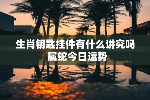 生肖钥匙挂件有什么讲究吗 属蛇今日运势