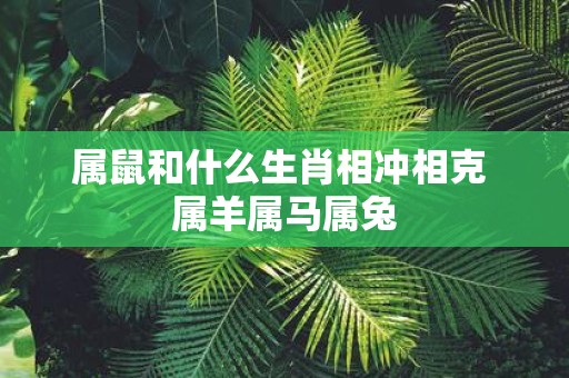 属鼠和什么生肖相冲相克 属羊属马属兔