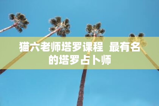 猫六老师塔罗课程 最有名的塔罗占卜师