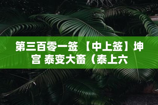 第三百零一签 【中上签】坤宫 泰变大畜（泰上六