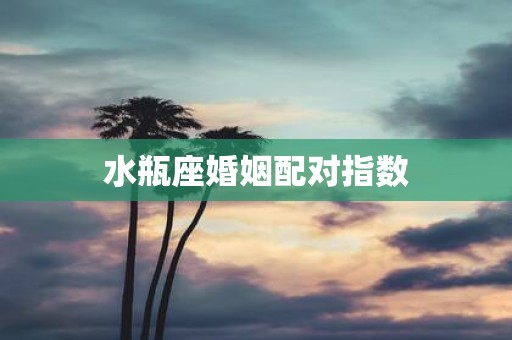 水瓶座婚姻配对指数