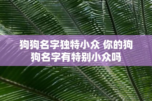狗狗名字独特小众 你的狗狗名字有特别小众吗