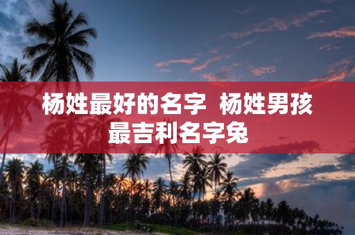 杨姓最好的名字 杨姓男孩最吉利名字兔