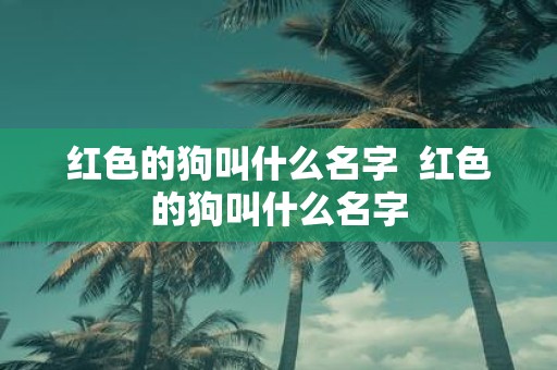 红色的狗叫什么名字  红色的狗叫什么名字