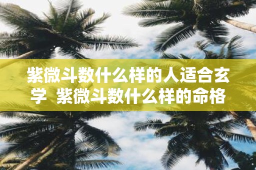 紫微斗数什么样的人适合玄学  紫微斗数什么样的命格是最好的