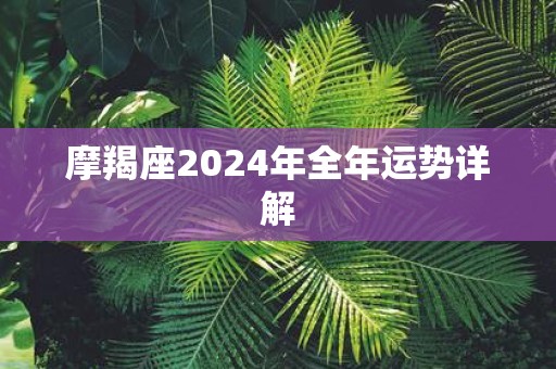 摩羯座2024年全年运势详解