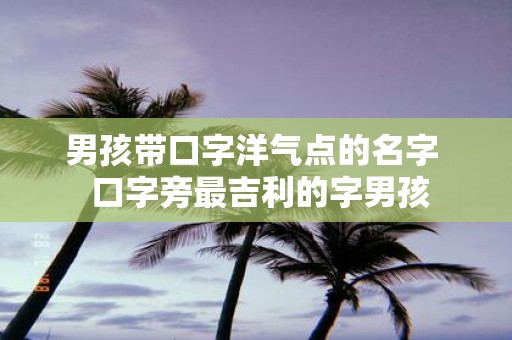 男孩带口字洋气点的名字 口字旁最吉利的字男孩
