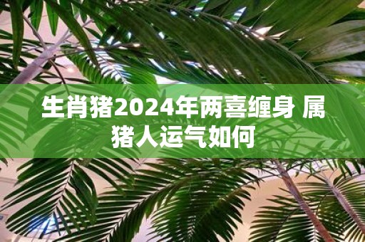 生肖猪2025年两喜缠身 属猪人运气如何