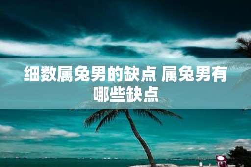 细数属兔男的缺点 属兔男有哪些缺点