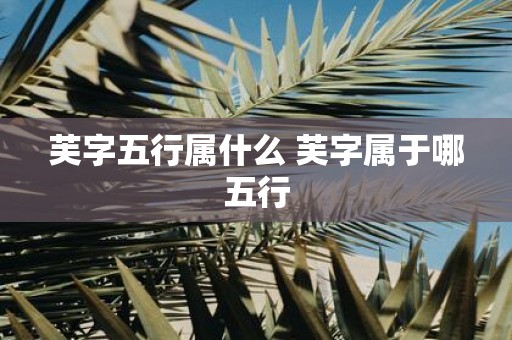 芙字五行属什么 芙字属于哪五行