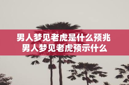 男人梦见老虎是什么预兆 男人梦见老虎预示什么