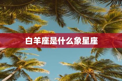 白羊座是什么象星座