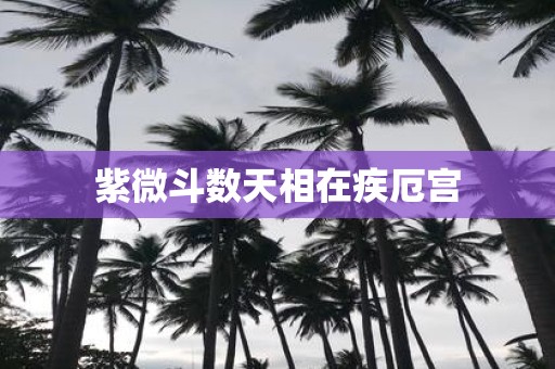 紫微斗数天相在疾厄宫