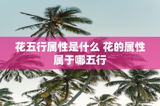 花五行属性是什么 花的属性属于哪五行