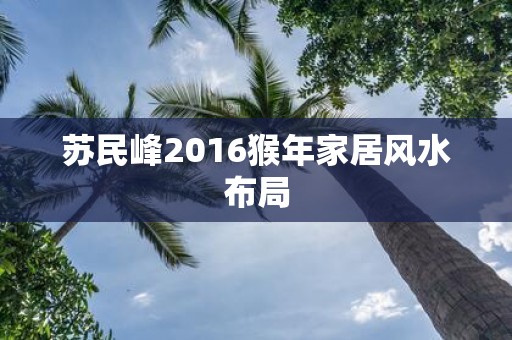苏民峰2016猴年家居风水布局