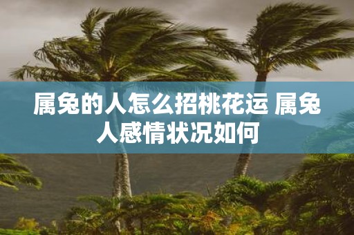 属兔的人怎么招桃花运 属兔人感情状况如何
