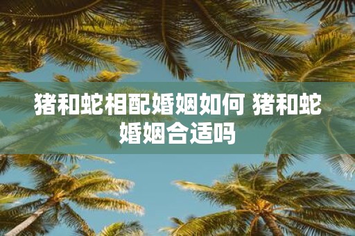 猪和蛇相配婚姻如何 猪和蛇婚姻合适吗