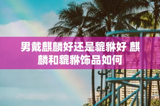 男戴麒麟好还是貔貅好 麒麟和貔貅饰品如何