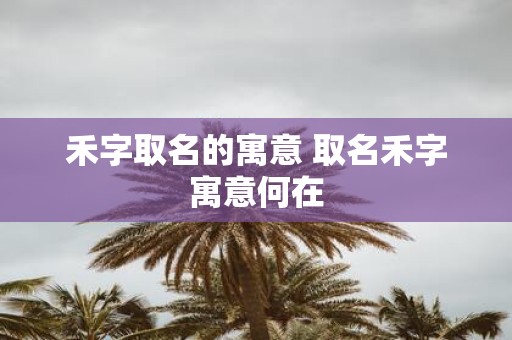 禾字取名的寓意 取名禾字寓意何在