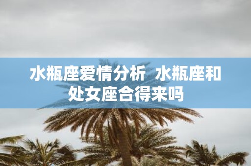 水瓶座爱情分析 水瓶座和处女座合得来吗