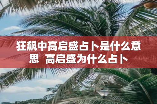 狂飙中高启盛占卜是什么意思 高启盛为什么占卜