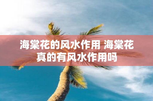 海棠花的风水作用 海棠花真的有风水作用吗