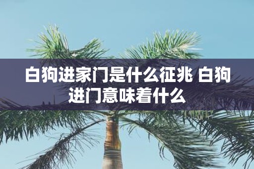白狗进家门是什么征兆 白狗进门意味着什么