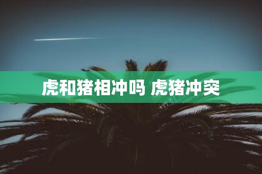 虎和猪相冲吗 虎猪冲突