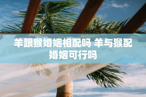 羊跟猴婚姻相配吗 羊与猴配婚姻可行吗