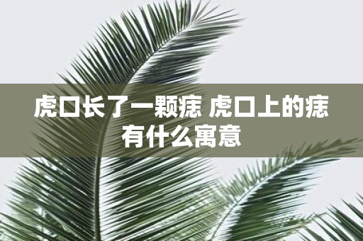 虎口长了一颗痣 虎口上的痣有什么寓意