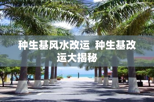 种生基风水改运 种生基改运大揭秘