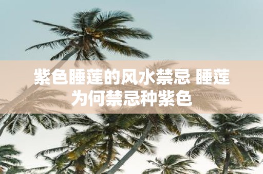 紫色睡莲的风水禁忌 睡莲为何禁忌种紫色