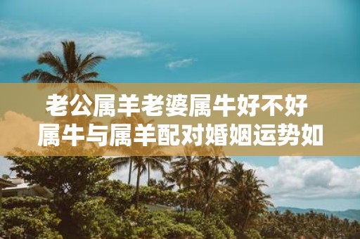 老公属羊老婆属牛好不好 属牛与属羊配对婚姻运势如何