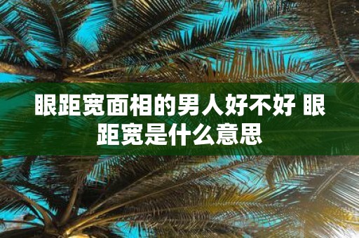 眼距宽面相的男人好不好 眼距宽是什么意思