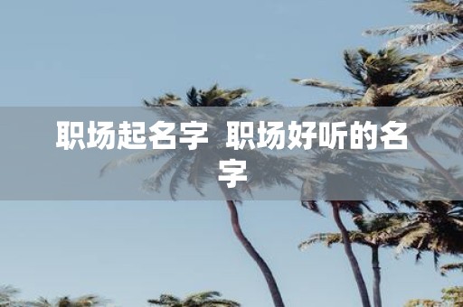 职场起名字 职场好听的名字