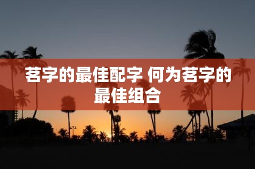 茗字的最佳配字 何为茗字的最佳组合