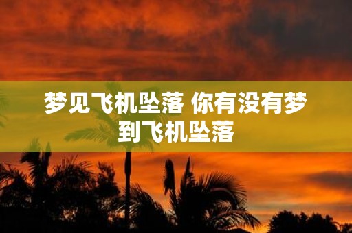 梦见飞机坠落 你有没有梦到飞机坠落
