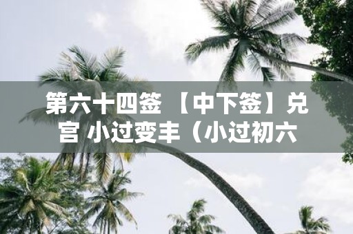 第六十四签 【中下签】兑宫 小过变丰（小过初六
