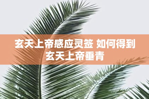 玄天上帝感应灵签 如何得到玄天上帝垂青